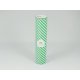 MT CASA RAYƒ stripe green